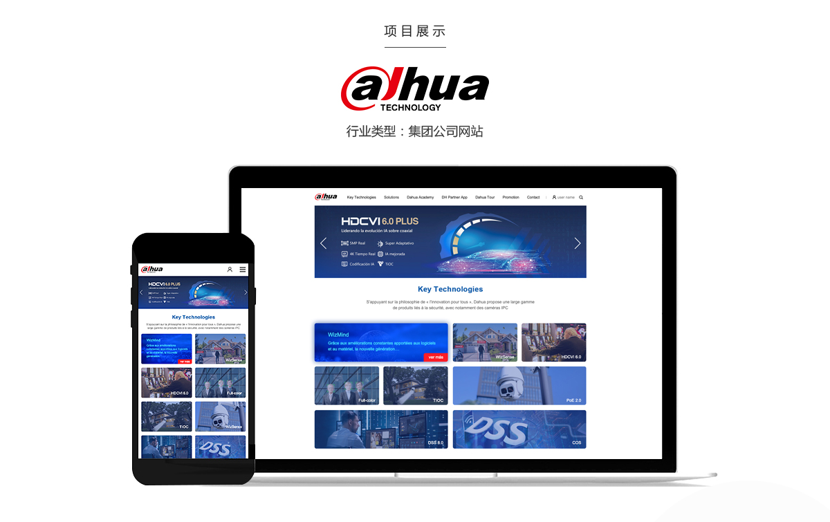 Dahua — France Operations - Project Screenshot