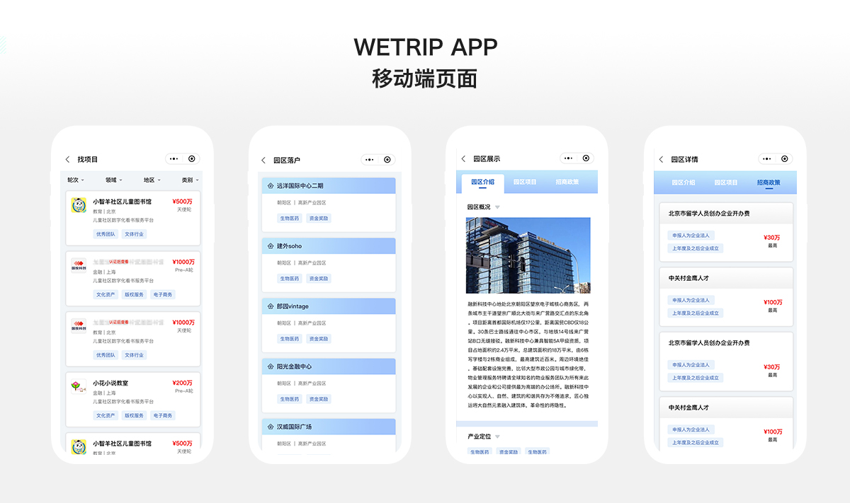 China Investment Group - Project Screenshot